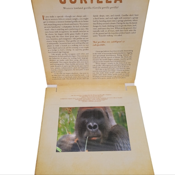 Safari - A Photicular Book, Motion Picture Sturdy 8.25" Cheetah Gorilla Elephant - Picture 3 of 6